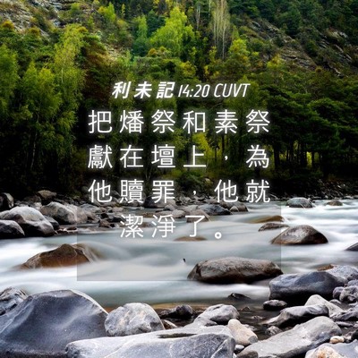 Picture 04 - 利 未 記 14:20 CUVT - 把 燔 祭 和 素 祭 獻 在 壇 上 ， 為 - Bible Verse Picture