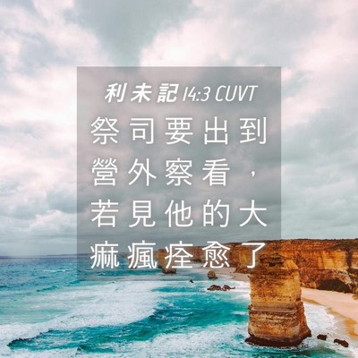 Picture 04 - 利 未 記 14:3 CUVT - 祭 司 要 出 到 營 外 察 看 ， 若 見 - Bible Verse Picture