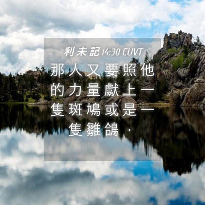 Picture 04 - 利 未 記 14:30 CUVT - 那 人 又 要 照 他 的 力 量 獻 上 一 - Bible Verse Picture