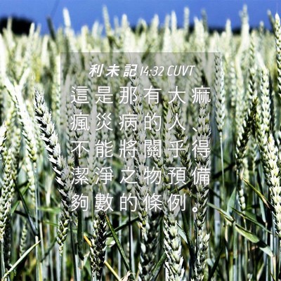 Picture 04 - 利 未 記 14:32 CUVT - 這 是 那 有 大 痲 瘋 災 病 的 人 、 - Bible Verse Picture