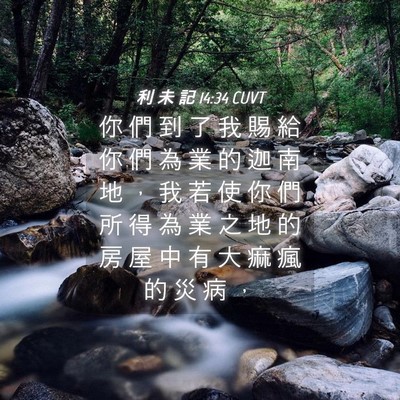 Picture 04 - 利 未 記 14:34 CUVT - 你 們 到 了 我 賜 給 你 們 為 業 的 - Bible Verse Picture