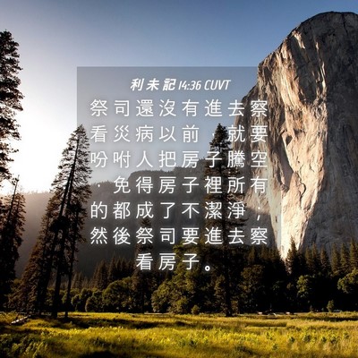 Picture 04 - 利 未 記 14:36 CUVT - 祭 司 還 沒 有 進 去 察 看 災 病 以 - Bible Verse Picture