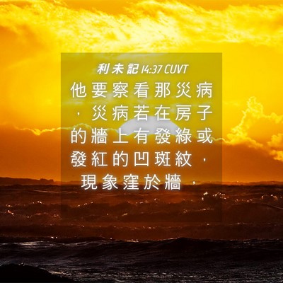 Picture 04 - 利 未 記 14:37 CUVT - 他 要 察 看 那 災 病 ， 災 病 若 在 - Bible Verse Picture