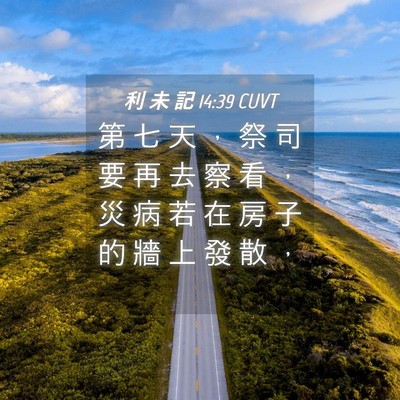 Picture 04 - 利 未 記 14:39 CUVT - 第 七 天 ， 祭 司 要 再 去 察 看 ， - Bible Verse Picture