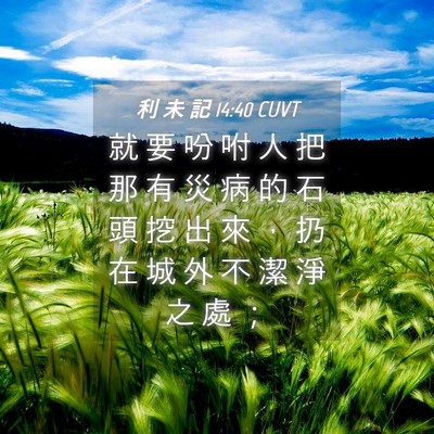 Picture 04 - 利 未 記 14:40 CUVT - 就 要 吩 咐 人 把 那 有 災 病 的 石 - Bible Verse Picture