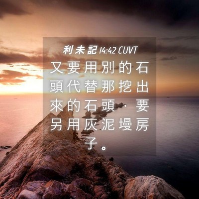 Picture 04 - 利 未 記 14:42 CUVT - 又 要 用 別 的 石 頭 代 替 那 挖 出 - Bible Verse Picture
