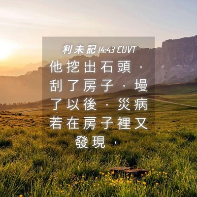 Picture 04 - 利 未 記 14:43 CUVT - 他 挖 出 石 頭 ， 刮 了 房 子 ， 墁 - Bible Verse Picture
