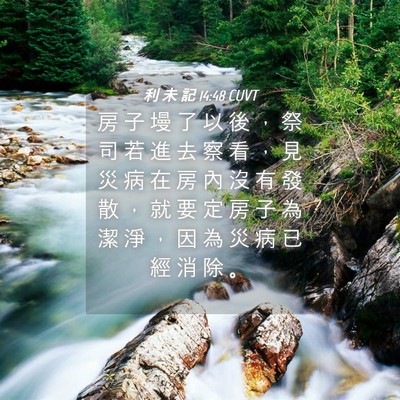 Picture 04 - 利 未 記 14:48 CUVT - 房 子 墁 了 以 後 ， 祭 司 若 進 去 - Bible Verse Picture