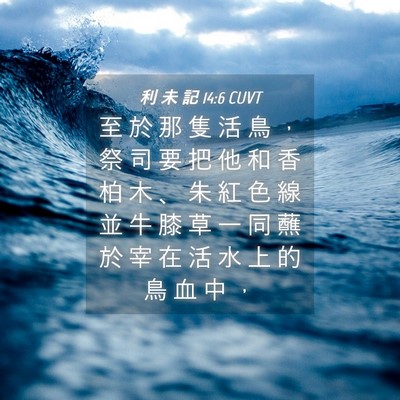 Picture 04 - 利 未 記 14:6 CUVT - 至 於 那 隻 活 鳥 ， 祭 司 要 把 他 - Bible Verse Picture
