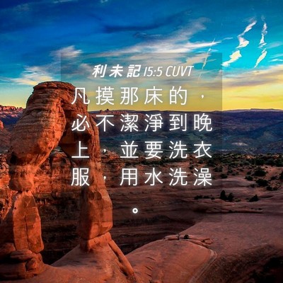 Picture 04 - 利 未 記 15:5 CUVT - 凡 摸 那 床 的 ， 必 不 潔 淨 到 晚 - Bible Verse Picture