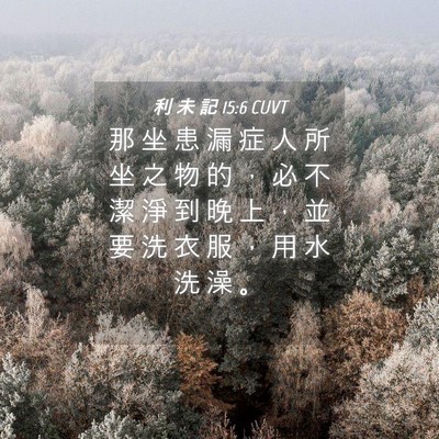 Picture 04 - 利 未 記 15:6 CUVT - 那 坐 患 漏 症 人 所 坐 之 物 的 ， - Bible Verse Picture