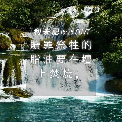Picture 04 - 利 未 記 16:25 CUVT - 贖 罪 祭 牲 的 脂 油 要 在 壇 上 焚 - Bible Verse Picture