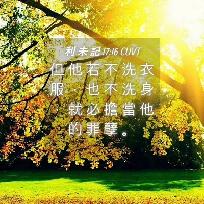 Picture 04 - 利 未 記 17:16 CUVT - 但 他 若 不 洗 衣 服 ， 也 不 洗 身 - Bible Verse Picture