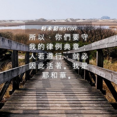 Picture 04 - 利 未 記 18:5 CUVT - 所 以 ， 你 們 要 守 我 的 律 例 典 - Bible Verse Picture