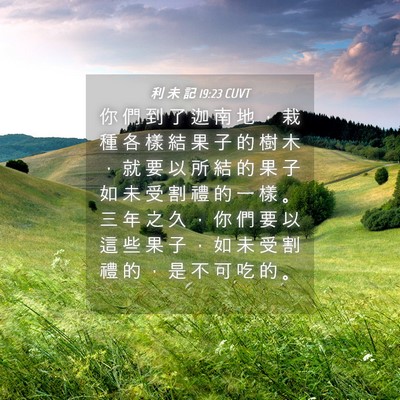 Picture 04 - 利 未 記 19:23 CUVT - 你 們 到 了 迦 南 地 ， 栽 種 各 樣 - Bible Verse Picture