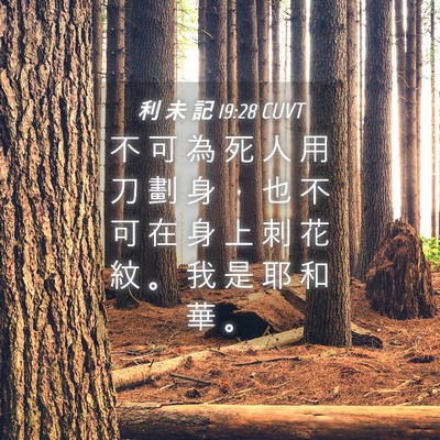 Picture 04 - 利 未 記 19:28 CUVT - 不 可 為 死 人 用 刀 劃 身 ， 也 不 - Bible Verse Picture