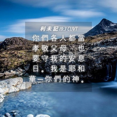 Picture 04 - 利 未 記 19:3 CUVT - 你 們 各 人 都 當 孝 敬 父 母 ， 也 - Bible Verse Picture