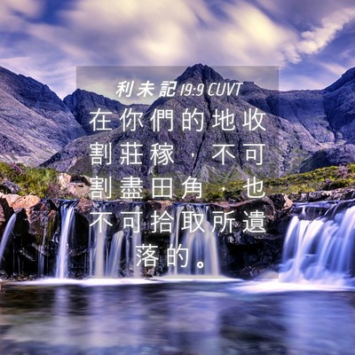 Picture 04 - 利 未 記 19:9 CUVT - 在 你 們 的 地 收 割 莊 稼 ， 不 可 - Bible Verse Picture