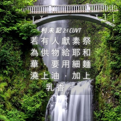 Picture 04 - 利 未 記 2:1 CUVT - 若 有 人 獻 素 祭 為 供 物 給 耶 和 - Bible Verse Picture