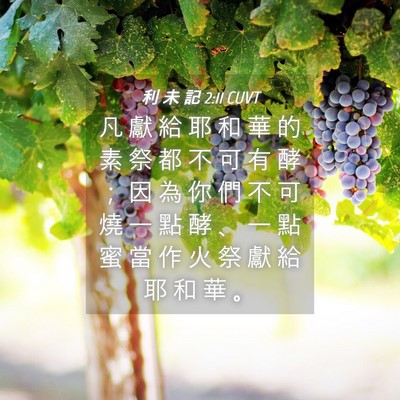 Picture 04 - 利 未 記 2:11 CUVT - 凡 獻 給 耶 和 華 的 素 祭 都 不 可 - Bible Verse Picture