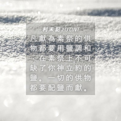 Picture 04 - 利 未 記 2:13 CUVT - 凡 獻 為 素 祭 的 供 物 都 要 用 鹽 - Bible Verse Picture