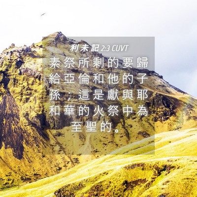 Picture 04 - 利 未 記 2:3 CUVT - 素 祭 所 剩 的 要 歸 給 亞 倫 和 他 - Bible Verse Picture