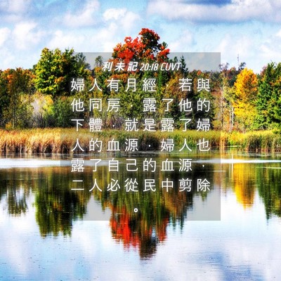 Picture 04 - 利 未 記 20:18 CUVT - 婦 人 有 月 經 ， 若 與 他 同 房 ， - Bible Verse Picture