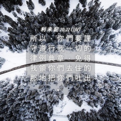 Picture 04 - 利 未 記 20:22 CUVT - 所 以 ， 你 們 要 謹 守 遵 行 我 一 - Bible Verse Picture