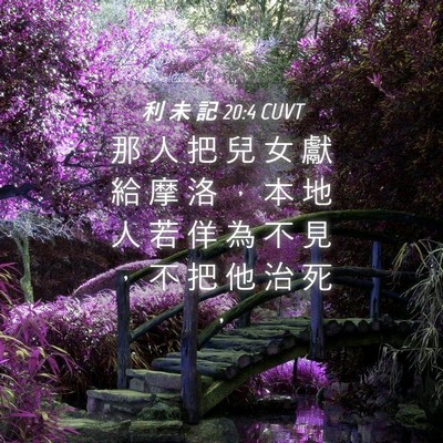 Picture 04 - 利 未 記 20:4 CUVT - 那 人 把 兒 女 獻 給 摩 洛 ， 本 地 - Bible Verse Picture