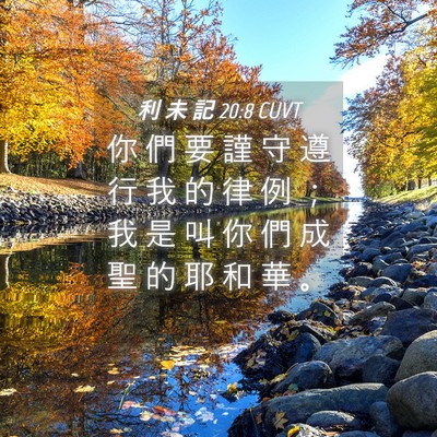 Picture 04 - 利 未 記 20:8 CUVT - 你 們 要 謹 守 遵 行 我 的 律 例 ； - Bible Verse Picture