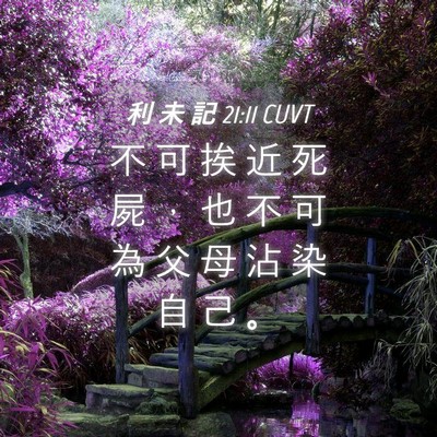 Picture 04 - 利 未 記 21:11 CUVT - 不 可 挨 近 死 屍 ， 也 不 可 為 父 - Bible Verse Picture