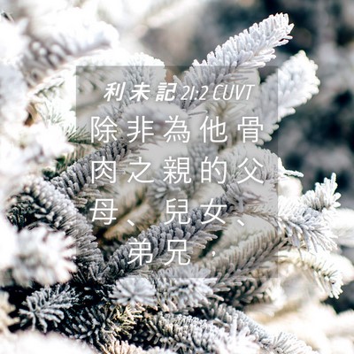 Picture 04 - 利 未 記 21:2 CUVT - 除 非 為 他 骨 肉 之 親 的 父 母 、 - Bible Verse Picture