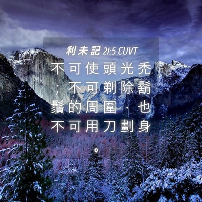 Picture 04 - 利 未 記 21:5 CUVT - 不 可 使 頭 光 禿 ； 不 可 剃 除 鬍 - Bible Verse Picture