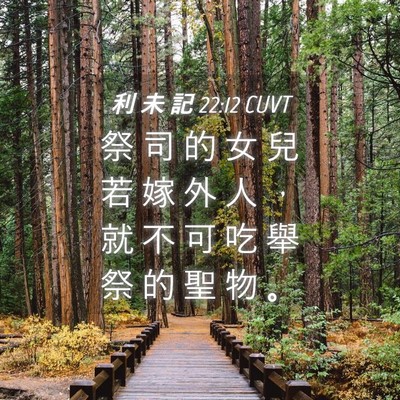 Picture 04 - 利 未 記 22:12 CUVT - 祭 司 的 女 兒 若 嫁 外 人 ， 就 不 - Bible Verse Picture