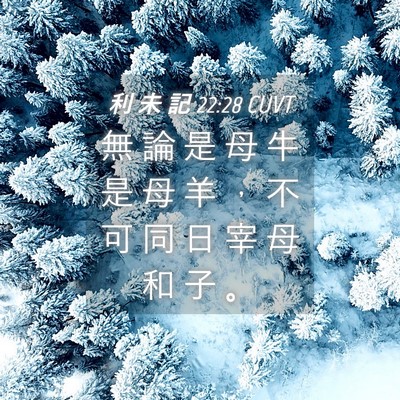Picture 04 - 利 未 記 22:28 CUVT - 無 論 是 母 牛 是 母 羊 ， 不 可 同 - Bible Verse Picture