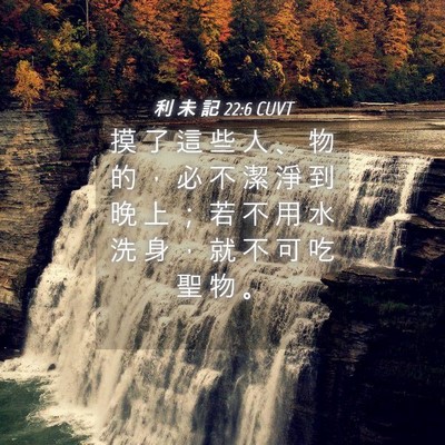 Picture 04 - 利 未 記 22:6 CUVT - 摸 了 這 些 人 、 物 的 ， 必 不 潔 - Bible Verse Picture