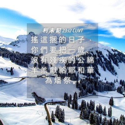Picture 04 - 利 未 記 23:12 CUVT - 搖 這 捆 的 日 子 ， 你 們 要 把 一 - Bible Verse Picture