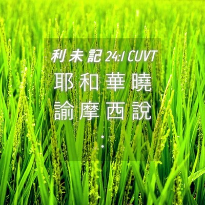 Picture 04 - 利 未 記 24:1 CUVT - 耶 和 華 曉 諭 摩 西 說 - Bible Verse Picture