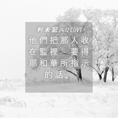 Picture 04 - 利 未 記 24:12 CUVT - 他 們 把 那 人 收 在 監 裡 ， 要 得 - Bible Verse Picture