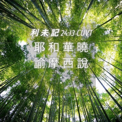 Picture 04 - 利 未 記 24:13 CUVT - 耶 和 華 曉 諭 摩 西 說 - Bible Verse Picture