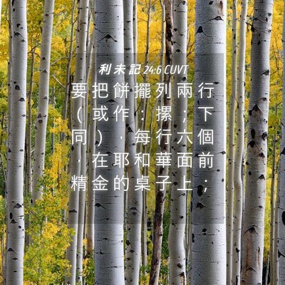 Picture 04 - 利 未 記 24:6 CUVT - 要 把 餅 擺 列 兩 行 （ 或 作 ： 摞 - Bible Verse Picture