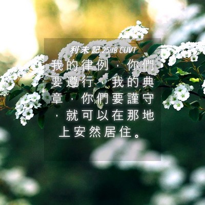 Picture 04 - 利 未 記 25:18 CUVT - 我 的 律 例 ， 你 們 要 遵 行 ， 我 - Bible Verse Picture