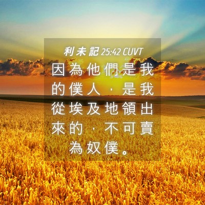 Picture 04 - 利 未 記 25:42 CUVT - 因 為 他 們 是 我 的 僕 人 ， 是 我 - Bible Verse Picture