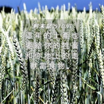 Picture 04 - 利 未 記 25:7 CUVT - 這 年 的 土 產 也 要 給 你 的 牲 畜 - Bible Verse Picture