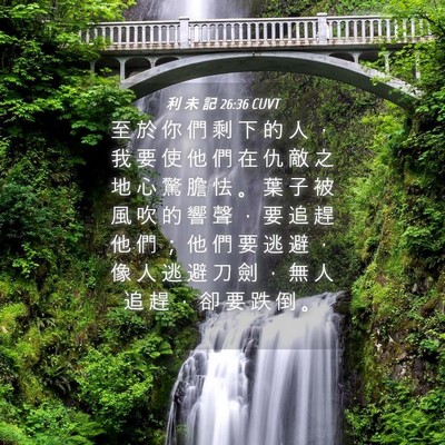Picture 04 - 利 未 記 26:36 CUVT - 至 於 你 們 剩 下 的 人 ， 我 要 使 - Bible Verse Picture
