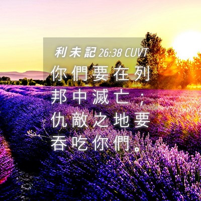 Picture 04 - 利 未 記 26:38 CUVT - 你 們 要 在 列 邦 中 滅 亡 ； 仇 敵 - Bible Verse Picture