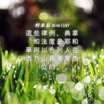 Picture 04 - 利 未 記 26:46 CUVT - 這 些 律 例 、 典 章 ， 和 法 度 是 - Bible Verse Picture