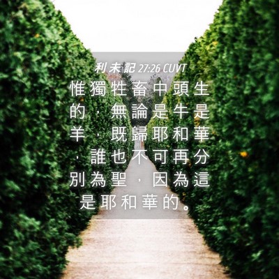 Picture 04 - 利 未 記 27:26 CUVT - 惟 獨 牲 畜 中 頭 生 的 ， 無 論 是 - Bible Verse Picture