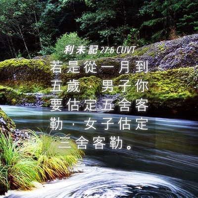 Picture 04 - 利 未 記 27:6 CUVT - 若 是 從 一 月 到 五 歲 ， 男 子 你 - Bible Verse Picture