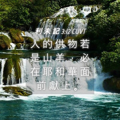 Picture 04 - 利 未 記 3:12 CUVT - 人 的 供 物 若 是 山 羊 ， 必 在 耶 - Bible Verse Picture